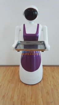 智能科技崛起 陜西機器人與寧夏銀川市場熱潮解析